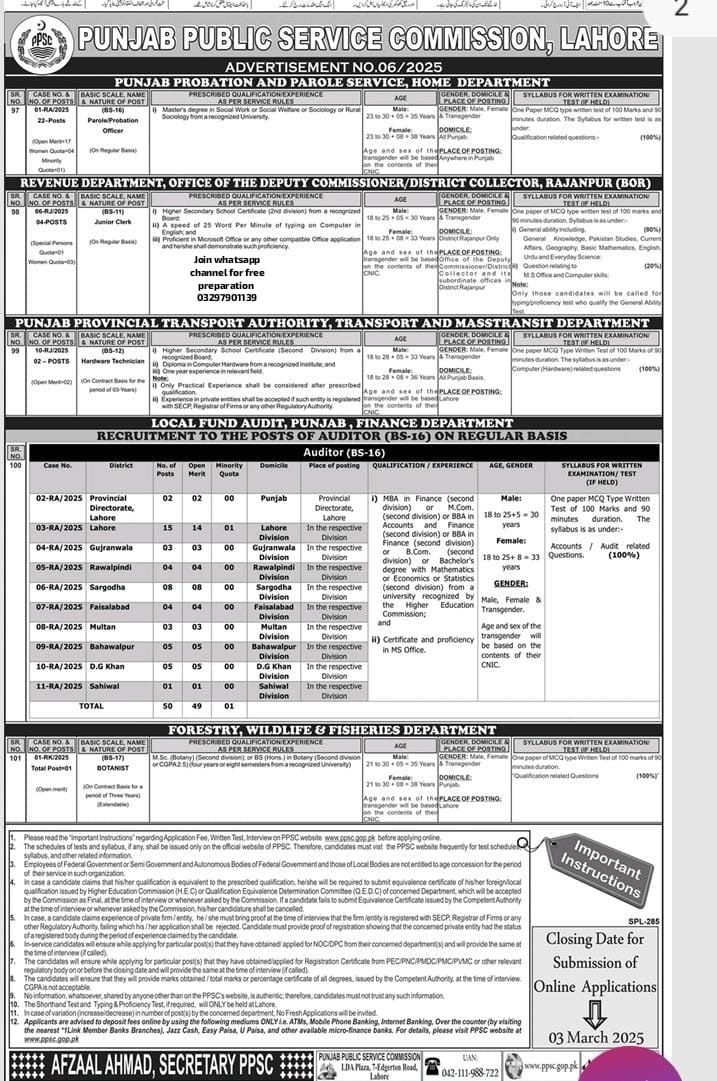 Local Audit Job 2025