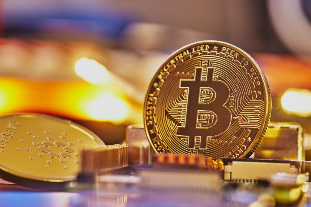 What are the top 5 cryptocurrencies for beginners?